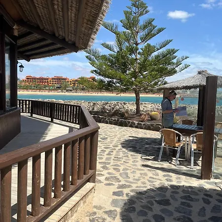 Appartement Caleta Paraiso 110